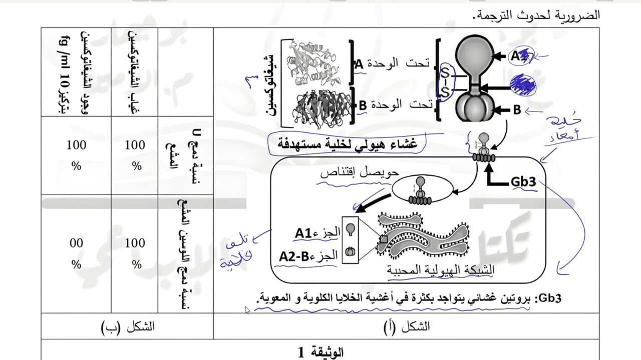 حل التمرين الثاني من الاختبار الموحد