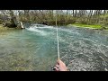 SO MANY TROUT!!! Creek Fishing for Brook & Brown TROUT