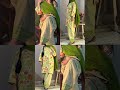 @bajwa._collection #punjabisuits #suits #fashion #boutique #youtubeshorts #likesharesubscribe