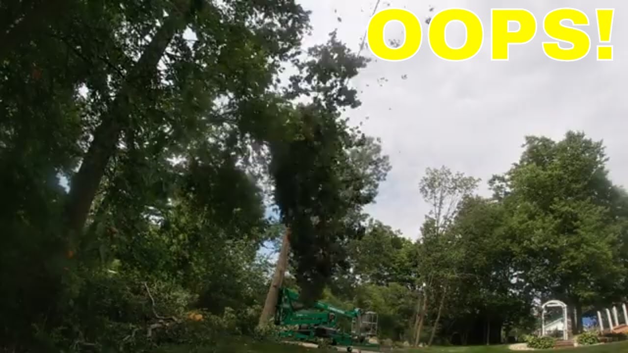 That Time I Accidentally Dropped A Tree On My Lift YouTube that-time-i-accidentally-dropped-a-tree-on-my-lift-youtube