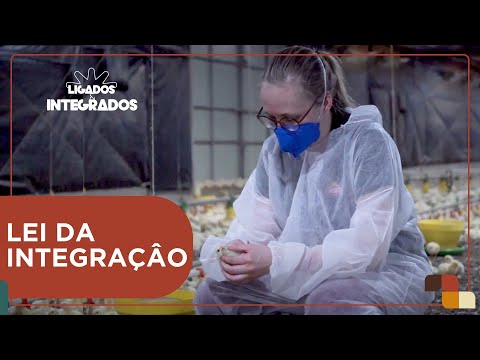 Qual a relevância da Lei de Integração para produtores e indústria? | Ligados & Integrados 16/05/24