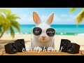 chillphenol - LP 2025.7 (Official Music Video)