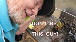 DON'T  BE THIS GUY in the #GARDEN by The Back Garden Yard  248 views 2 months ago 43 seconds