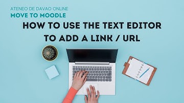 How to use the text editor to add text and a URL/link in Moodle (Daigler)