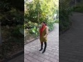 卖荔枝 卖荔枝