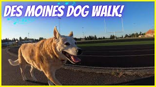 Seattle Suburb Stroll - Des Moines Edition - Relaxing Music & Nature Dog Walk