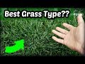 Is Tall Fescue The Best Cool Season Grass Type?