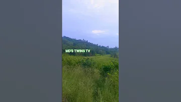 GOOD NIGHT FROM NATURE Forest Mdstwinstv Environment Tanzaniaunforgettable Janegoodall Tanapa 