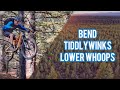 Tiddlywinks &amp; Whoops - Bend's Best Flow Trails