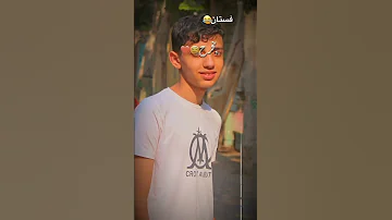 عسل الجمال وغذاء ملكاته 