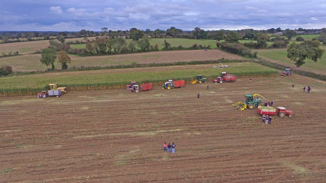 Ensilage à l'ancienne 2025 dans la Manche à Orglandes
