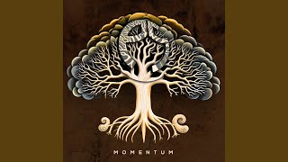 Momentum - Perfect Stranger