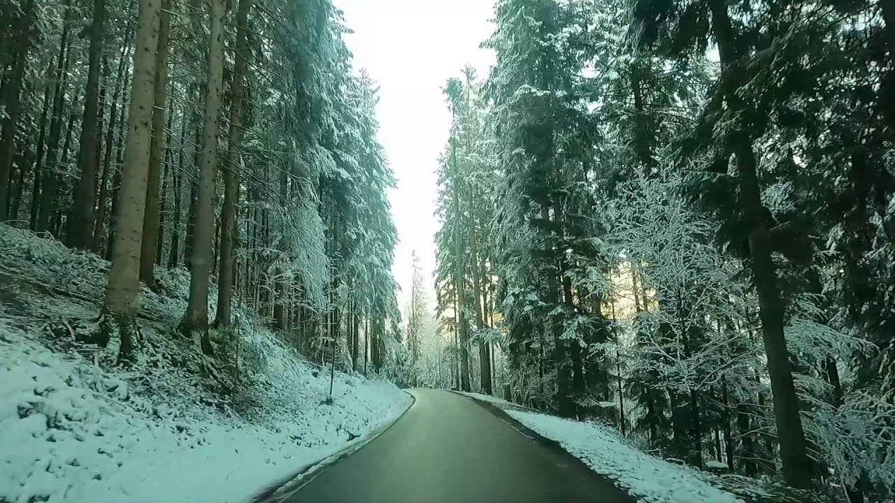 Drive through a Black Forest (Schwarzwald, Zell am Harmersbach ,Germany)