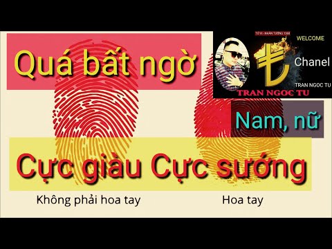 Video Hoa tay nói lên điều gì? Số hoa tay có ý nghĩa gì? - youtube