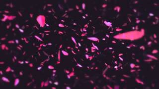 Leaf Blast Opener beauty Logo Reveal intro V1