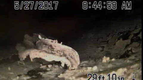 Sewer scope for Lori Bakken 5-27_2017pt 1