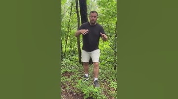 Soil Science: Introducing soils