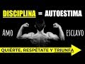 Disciplina = AutoEstima y Amor Propio (Matáfora Amo-Esclavo)