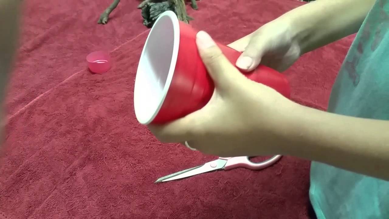 Hermit crab stuff diy YouTube