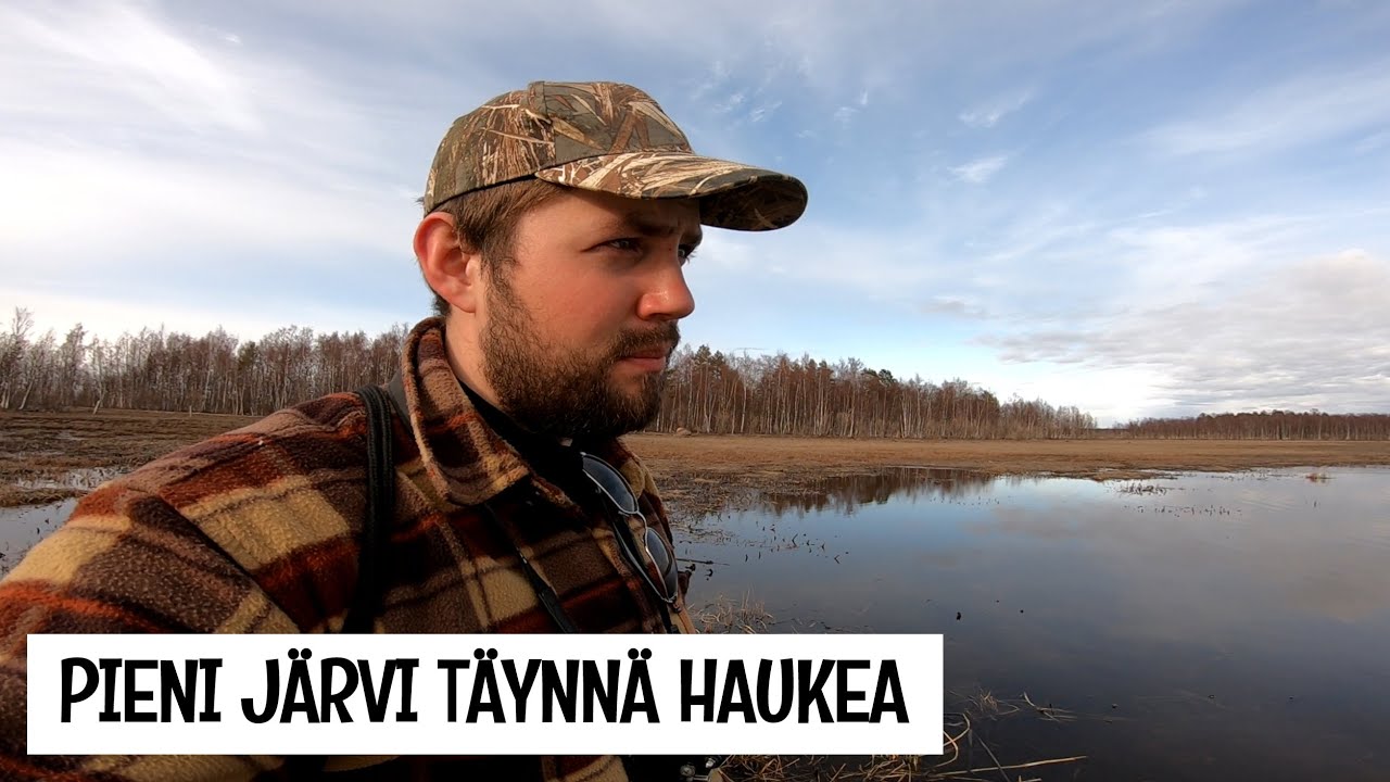 HAUEN KUDULLA - RIUTUNKARI JA NIMETÖN KOSTEIKKO