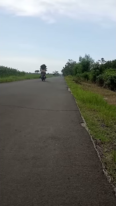 Drg vega 200cc sikancil bontot