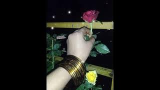 மானே கலைமானே சொந்த வாசகம் தான் என் பாட்டு  song