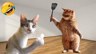 Funniest Animals 😄 New Funny Cats and Dogs Videos 2024 😹🐶 #279 by Pets Viewers 153 views 5 days ago 8 minutes, 21 seconds