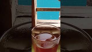 Download Lagu Lemon te MP3