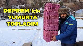 DEPREM İÇİN YUMURTA TOPLADIM ! ÖZEL YEM ALDIM - ÜCRETSİZ YUMURTA KOLİLERİ - SABAH KÜMESİ AÇMA !