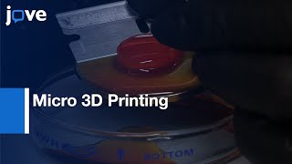 Micro 3D Printing Application in Studying Soft Material Mechanics | Protocol Preview screenshot 1