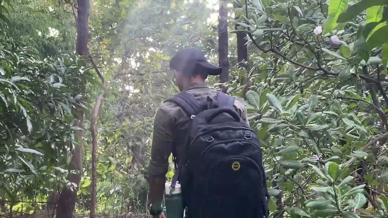 fles GO mini: Your Ultimate Travel Companion with Advanced Water Filtration