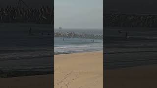 Manasquan Surf Report 2 3ft