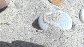 Белый песок пляжа на Кассандре в Греции / Арстайл /(Как же прекрасно в жару, у моря! Второй канал Техноконтроль (сравнения техники) - https://www.youtube.com/user/TechnoControl1..., 2011-07-31T17:33:55.000Z)