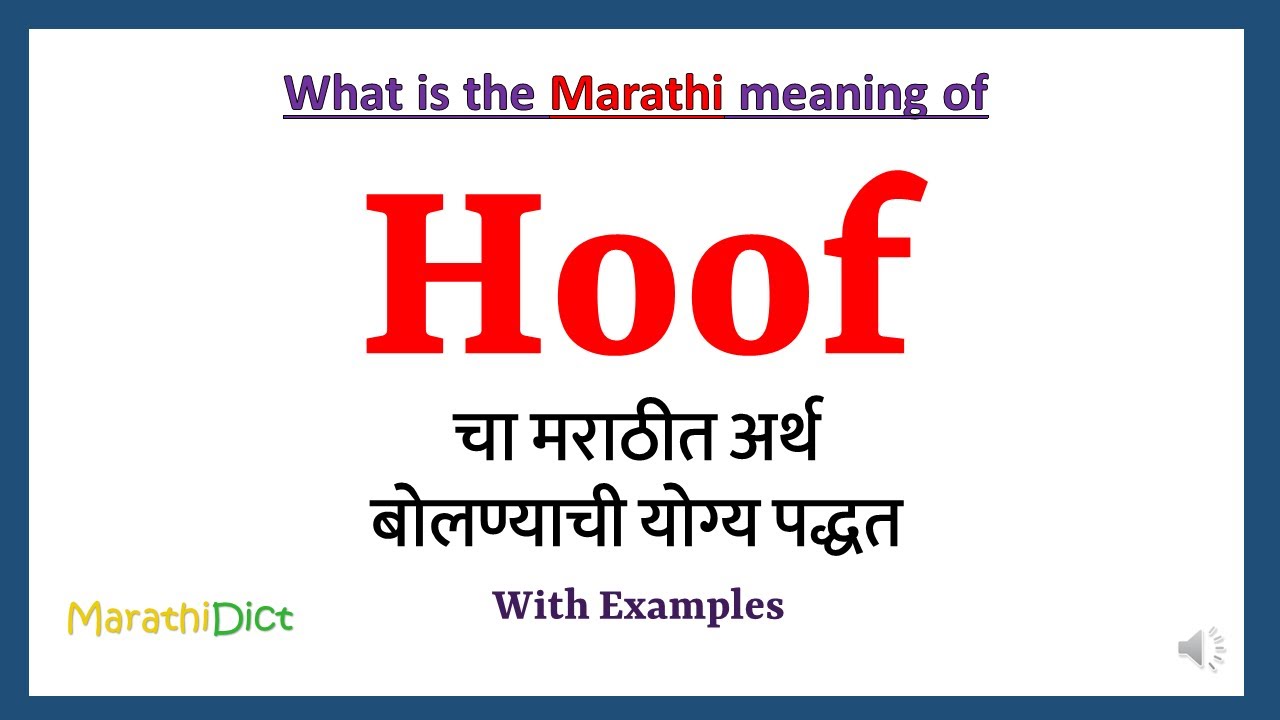 Hoof Meaning in Marathi Hoof म्हणजे काय Hoof in Marathi Dictionary