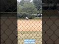 Micah’s infield clinic with Zach Lee - former NCCU SS #micahorozco #infieldclinic #baseballtraining