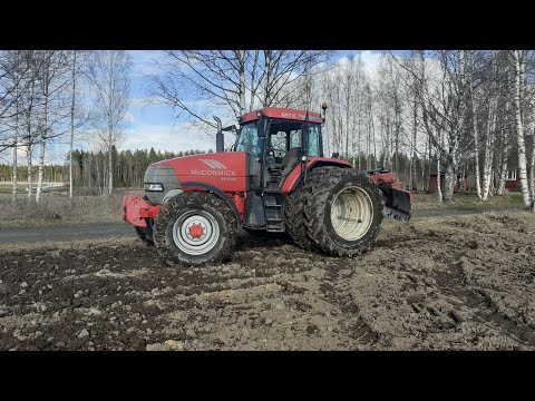 Video: Litojen Kasvattaminen Siemenistä: Kuinka Kasvattaa 