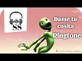 Dame tu cosita Ringtone| SS video| Download Link 👇👇 😇