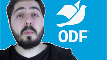 Qual o formato ODS?