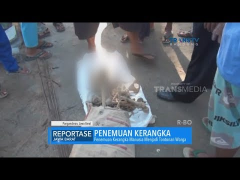 Video: Apa itu tulang belulang?