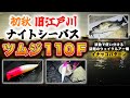 旧江戸川ナイトシーバス！ツムジ110Fで狙う初秋イナッコパターン！ - 波動で使い分ける話題のウェイクルアー編 - インプレ