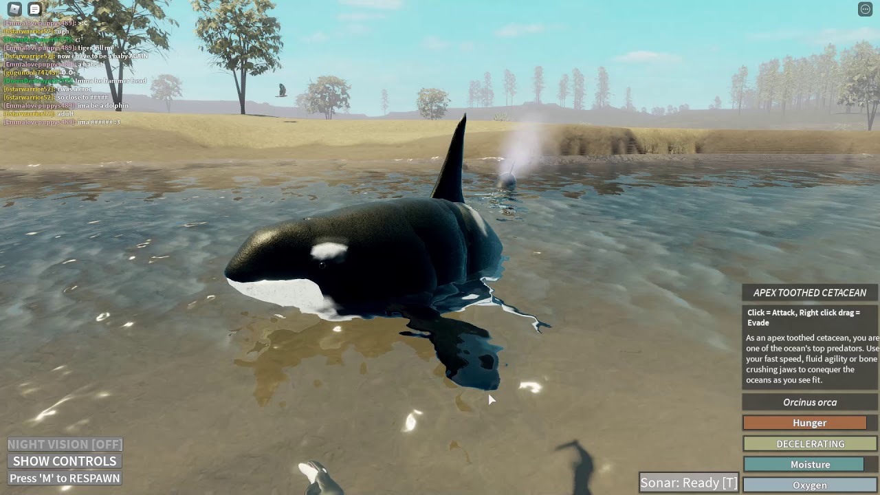 Roblox Holocene Orca Gameplay Youtube - the orca jaws roblox