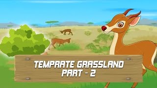 Biomes - Temprate Grassland - Part 2