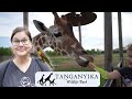 Tanganyika Wildlife Park | Up Close and Personal with all the amazing Animals!