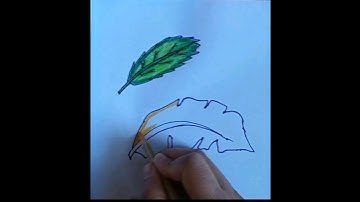 How to Draw Simple Leaf in 3 mints. #drawingtutorial #leafdrawingeasy