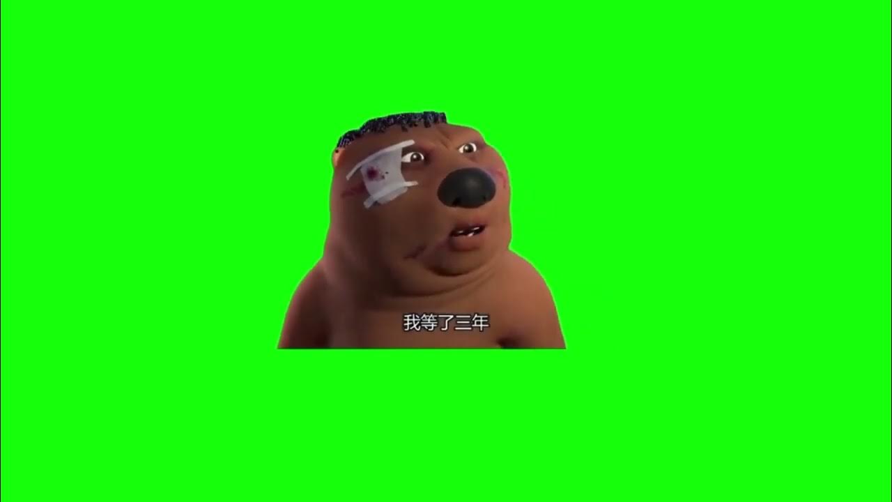 Девушка бобер из мема Китайский бобер - мем, хромакей (Chinese beaver memes) - YouTube