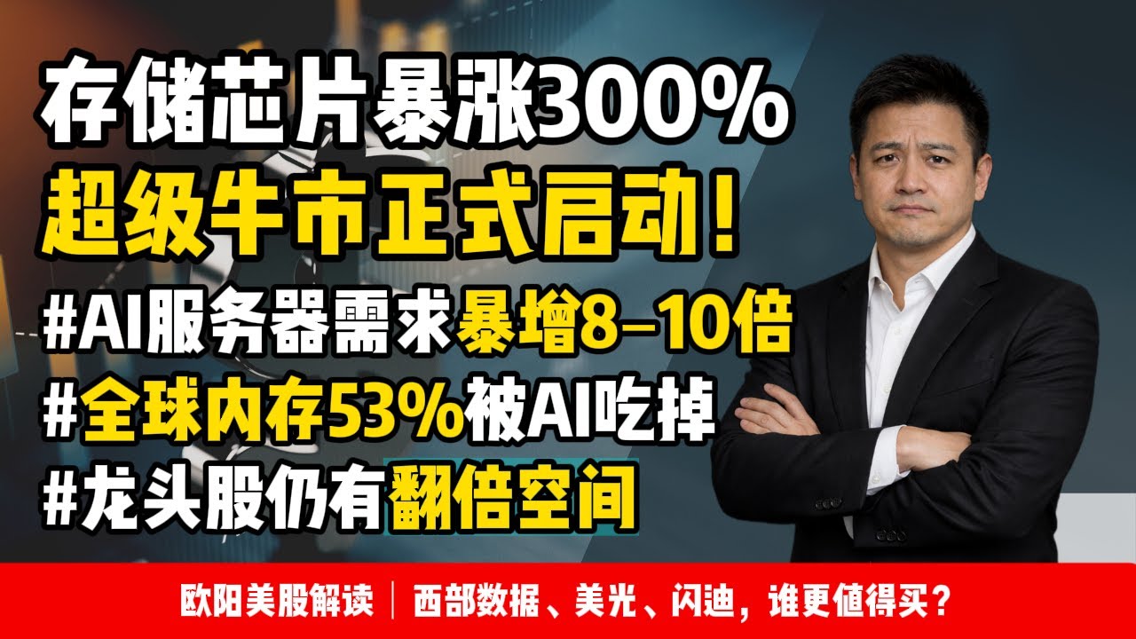 投資存储必看！：存储芯片暴涨300%，超级牛市正式启动！AI服务器需求暴增8–10倍！全球内存53%被AI吃掉！龙头股仍有翻倍空间！存储进入长期牛市周期，回踩就是机会！#投資  #美股 #股票分析