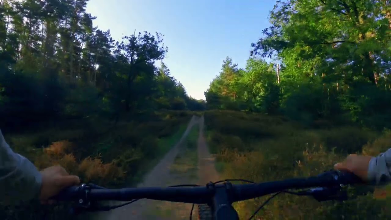 Nederland MTB-Vlierden