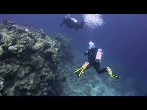 LIGHTHOUSE dive site DAHAB EGYPT