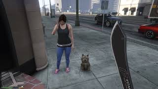 Grand Theft Auto V-lock at this dog