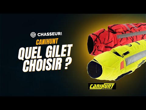Quel gilet Canihunt choisir pour protéger son chien de chasse ? Comparatif complet